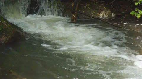 Forest brook 02 Video stock 27187782