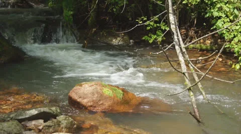 Forest brook 03 Stock Footage 27188343