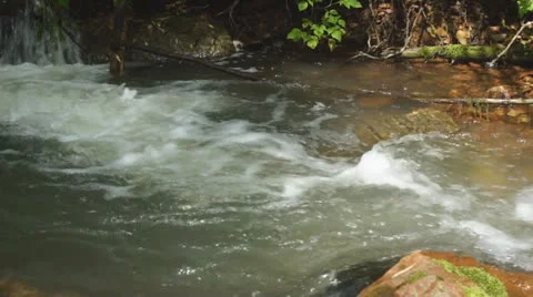 Forest brook 04 Stock Footage 27188624