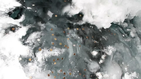 Forest brook. The flow of brook beneath the ice. There are the coins on the ice. Stock Footage 63629677