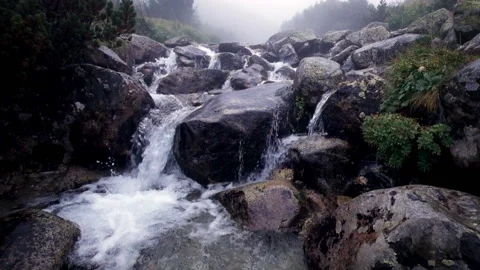 Forest brook flowing over rocks on misty morning real time high quality footage Stock-Footage 140686239