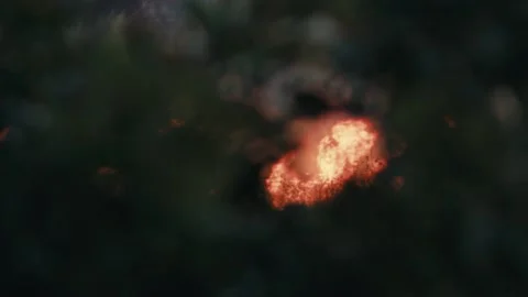 Forest burning during heathwave Stock Footage 207526860
