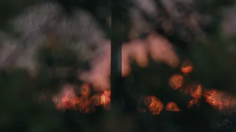 Forest burning during heathwave Stock Footage 207528241