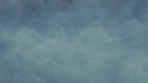 Forest burning during heathwave Stock Footage 207529122