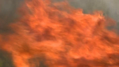 The forest is burning. Fire. Burning someone else's house. In flames Stock Footage 113063510