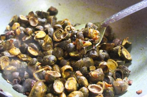 Forest button mushroom cooked as testy dish Stock Photos