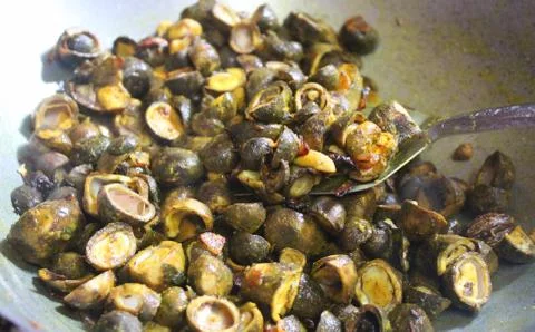 Forest button mushroom cooking Stock Photos