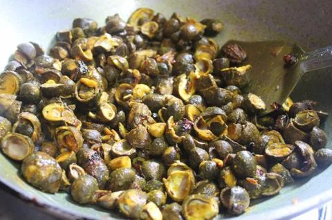 Forest button mushroom cooking Stock Photos