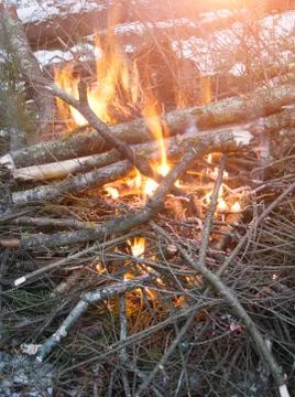 Forest camp fire Stock Photos