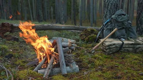 Forest campfire and forest gear Stock-Footage 296245036