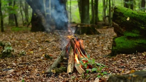 Forest campfire blazing beside large mossy log with rising smoke. Stock Footage 346289901