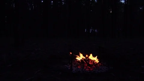 Forest campfire burning slowly with orange fire flames deep in the woods on dark Stock Footage 102389348