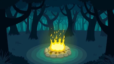 Forest Campfire Stock Footage 76859701