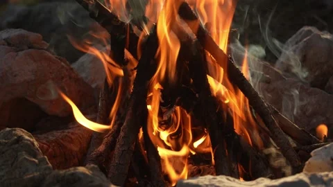 Forest Campfire at Golden Hour. Stock Footage 263748825