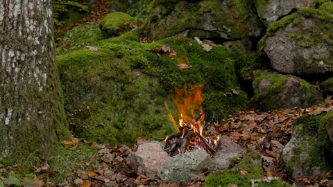 Forest Campfire Surrounded by Rocks and Moss Video stock 320130238