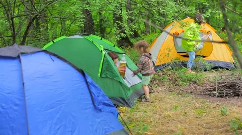 The forest is a campground Video stock 53606004