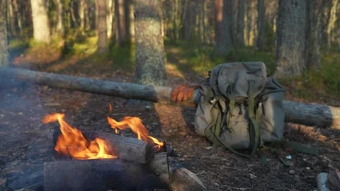 Forest camping: camping fire Video stock 289001892