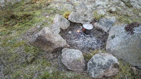 Forest camping setup with tent and gear Video stock 333403228