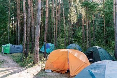 Forest Camping Site Stock Photos