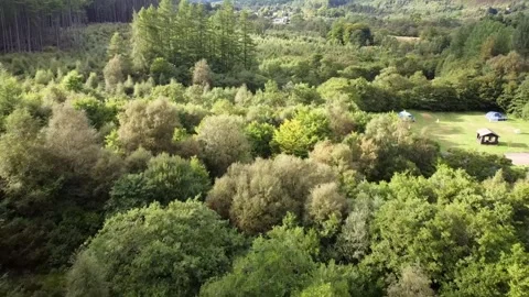 Forest with campsite drone flyover (HD) Stock Footage 273037945