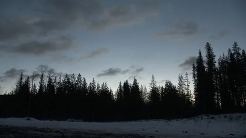 Forest in Canada Video stock 76706072