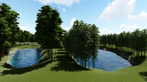 Forest Cannel Stock Footage 337668088