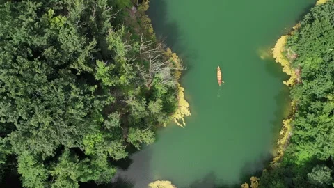 Forest canoe adventure Stock Footage 277333373