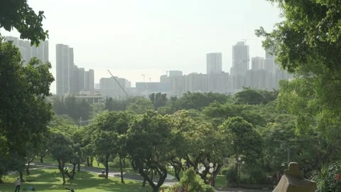 Forest Canopy and City Skyline. Shot in Shenzhen, China on September 27, 2025 스톡 동영상 318315541