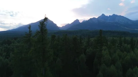 Forest Canopy in High Tatras at Sunset Vidéo 331234979