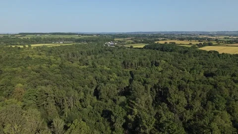 Forest canopy on a Hot Summer Day Stock Footage 337834247