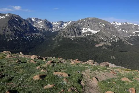 Forest Canyon Stock Photos