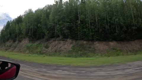 Forest from the car window 動画素材 285742889