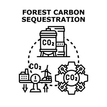 Forest carbon sequestration reducing co2 emissions concept Stock Illustration