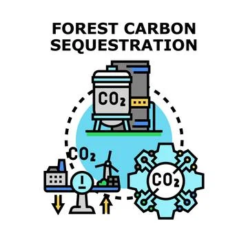Forest carbon sequestration reducing co2 emissions concept Stock Illustration