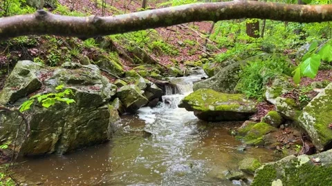 Forest Cascade Flowing Between Moss Covered Boulders in New Jersey Stock Footage 340566427