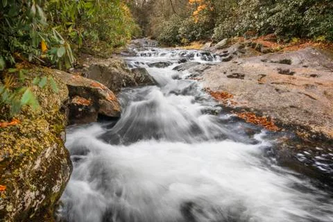 Forest Cascade Stock Photos