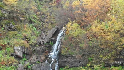 Forest cascade streamy waterfall Stock Footage 157734838