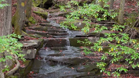 Forest Cascade: Water Flowing Over Mossy Autumn Rocks Video stock 320629764