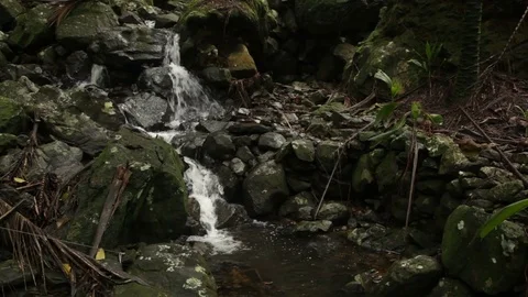 Forest cataracts and deep waters 스톡 동영상 76400348