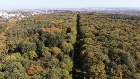 Forest in the center of Prague. Stock Footage 119779256