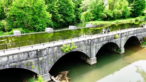 Forest - Central New York Stock Footage 336296266