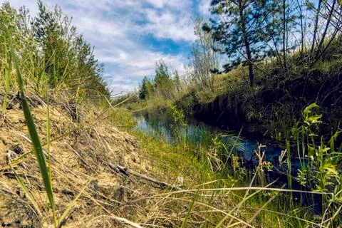 By the forest channel 写真素材