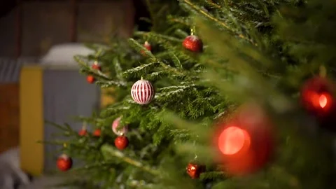 Forest Christmas tree decorated with red balls Stock Footage 293302941