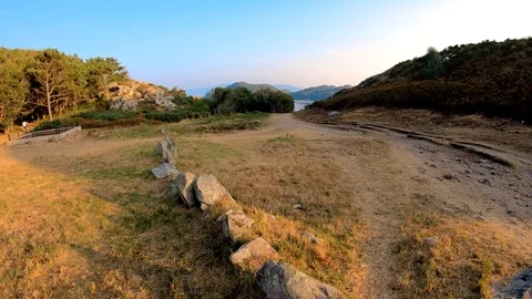FOREST OF CIES ISLANDS Stock Footage 94230460