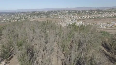 Forest to City Video stock 68750950