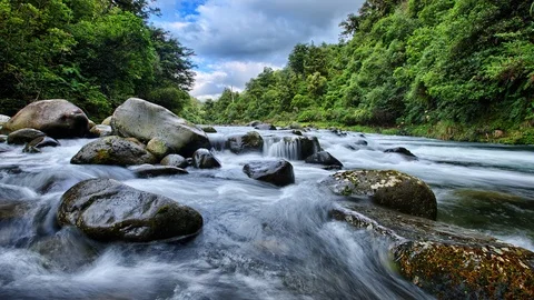 Forest Clad Stream Wilderness Scene Timelapse Footage Stock Footage 108345538