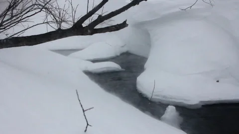 Forest Clean Spring Flows Among Snowdrifts. Non-freezing Warm Source. Snowstorm Stock Footage 146948282