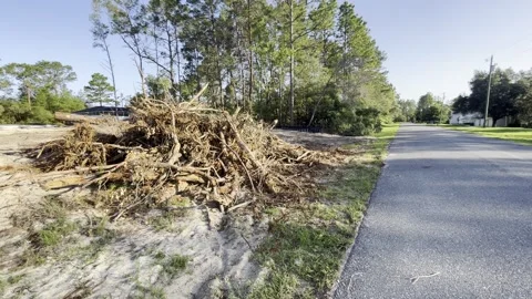 Forest cleared for new home construction in Florida. Exclusive Stock Footage 242440704