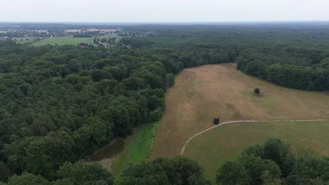 Forest clearing and winding meadow seen from above 動画素材 340646729
