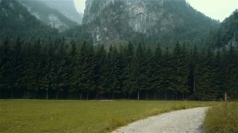 Forest clearing in Austria, Obertraun. Stock Footage 52009211